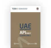 UAE Digital Government Strategy